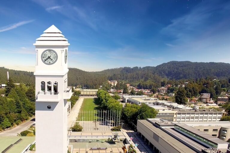UdeC confirma que Gobierno cortó financiamiento a programa de talento escolar