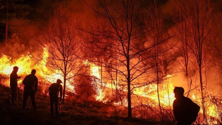 Casi 900 mil hectáreas en alerta en el Biobío: Los Ángeles y Cabrero tienen la mayor superficie en riesgo