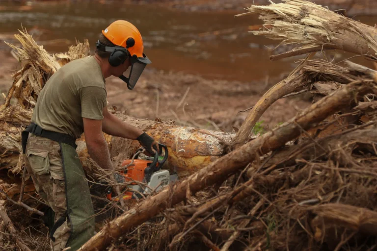 Curanilahue: encapuchados amedrentan a brigada de Forestal Arauco