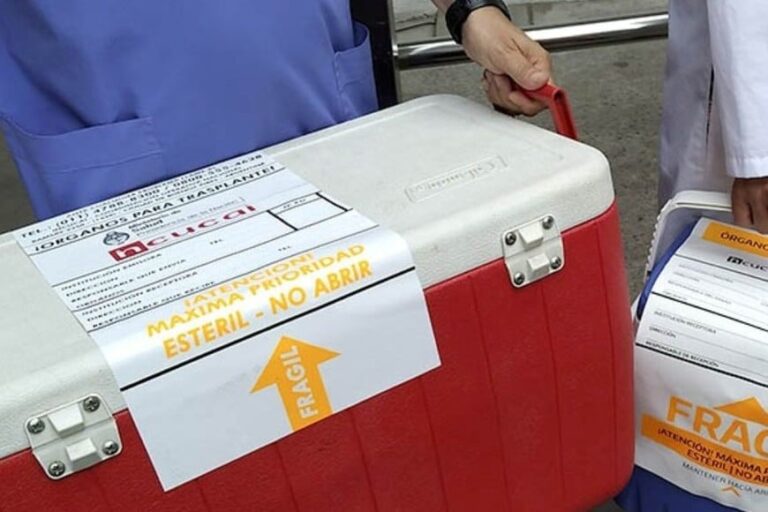 Falta de aeronave desde Talcahuano frustra opción de trasplante de niña de dos años