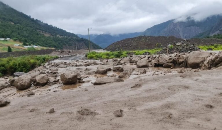 Crecida de río en Alto Biobío deja cerca de 200 familias aisladas