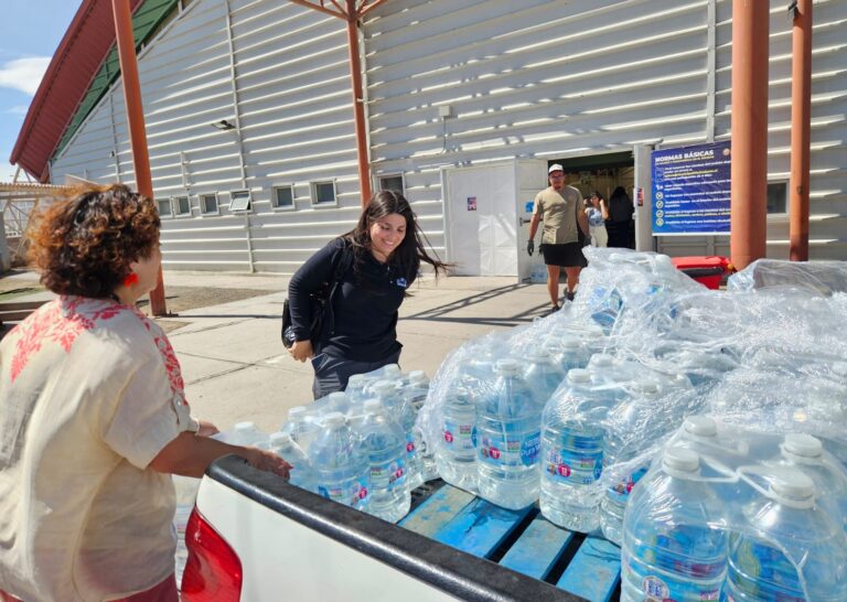 City Lab Biobío habilita visor público para apoyar la gestión de la emergencia por incendios