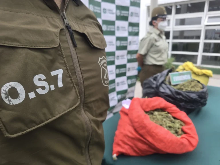 Los Ángeles: Carabineros incauta más de $350 millones en marihuana y pasta base