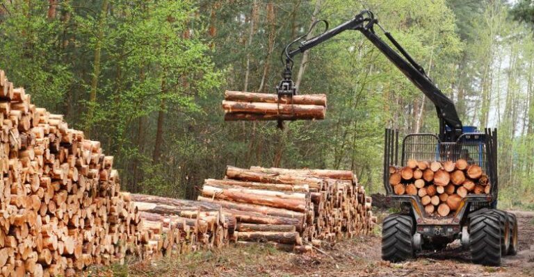 Exdelegado Humberto Toro denuncia nexos entre empresarios y grupos radicales en Arauco