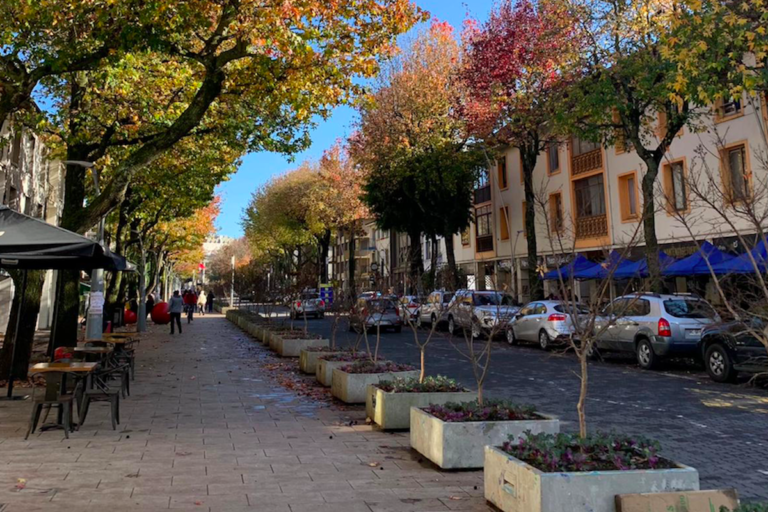 Empresarios gastronómicos de Plaza Perú participaron en taller sobre normativas y gestión legal