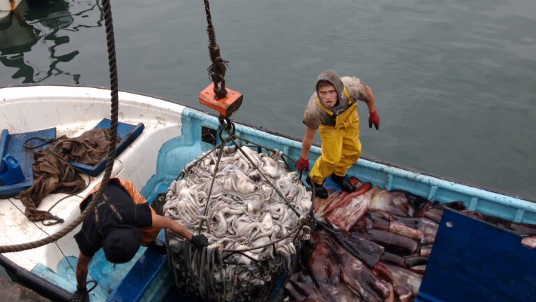 Pescadores califican como “insuficiente” bono estatal para enfrentar alza de combustibles en la Región del Biobío