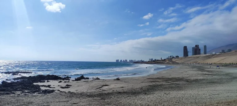Intensa búsqueda en Iquique: hombre desaparece mientras se bañaba en playa Huayquique