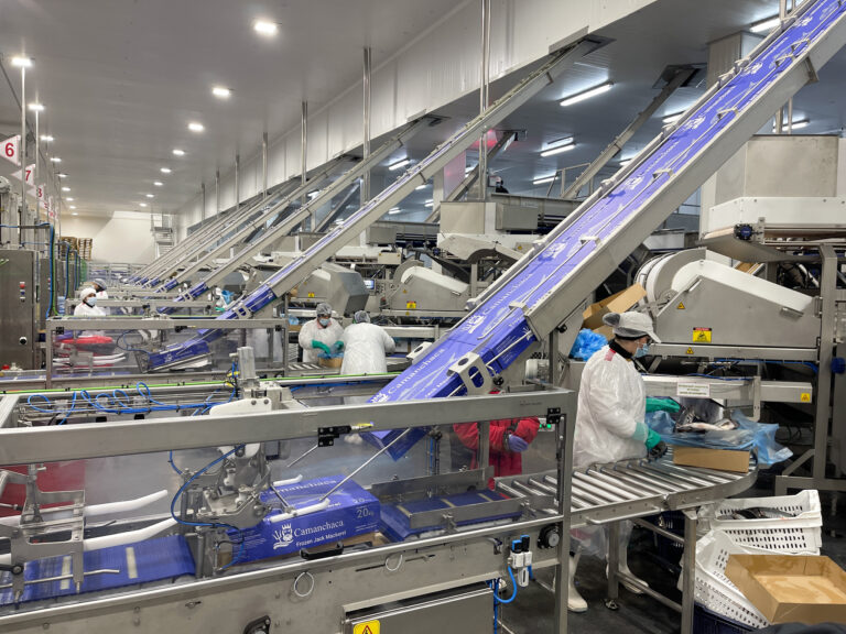 Trabajadores de Salmones Camanchaca en Tomé van a huelga legal por mejores sueldos