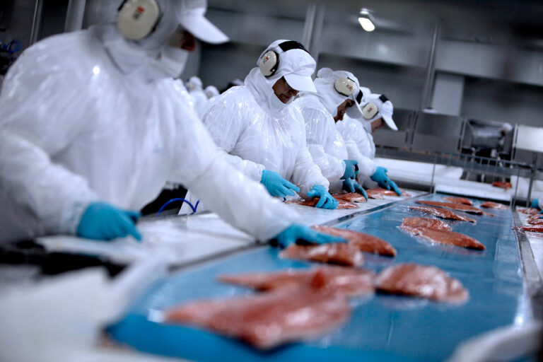 Multigremial advierte impacto laboral tras rechazo a microrelocalización de salmoneras